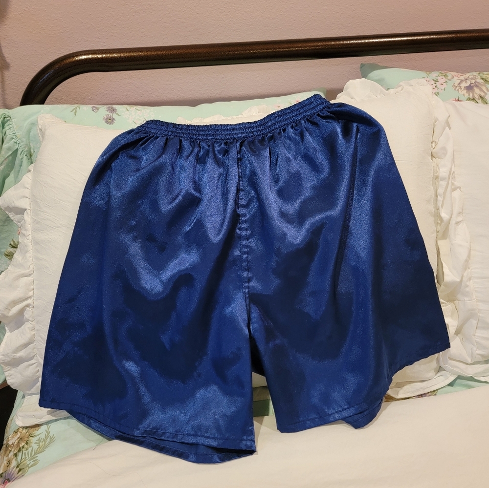 Women's Blue Silk Shorts